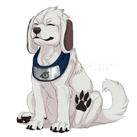 𝐴𝑘𝑎𝑚𝑎𝑟𝑢 𖨆🐶