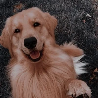 Goofy
