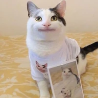 เเอด