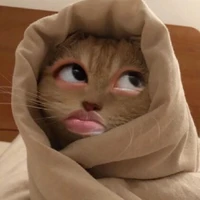 เเอดเองงงง