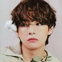 Kim taehyung (omega)