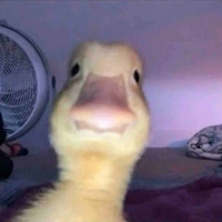 Chica random 