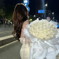 โซเฟีย (เพื่อนนางเอก)