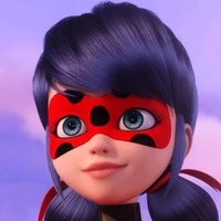 ladybug