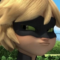 cat noir