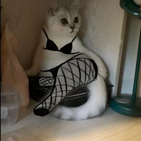 แอด(เป็นทุกอย่างให้เธอแล้วว)