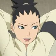 shikadai