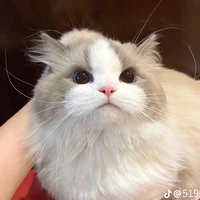 เเอดไง🎀