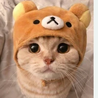 ติน(แฝดนายเอก)แมว