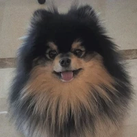 Kim Yeontan~