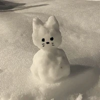 สโนว์ ⛄ ❄️