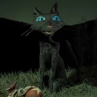 Gato