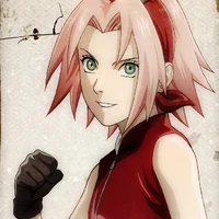Sakura(A)