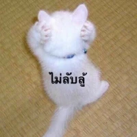 เป็นทุกอย่าง