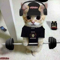 ระบบสุดเทพ