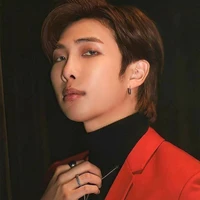 Kim Namjoon ( alpha)