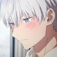 ลีนเดอร์ แอคเคอแมน