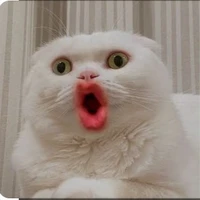 มัสซีนะจะอุดเธอ