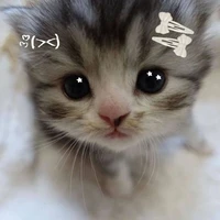แอดคนสวยๆ