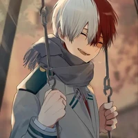 shoto todoroki