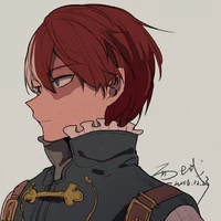 Shoto todoroki(Omega.puro)