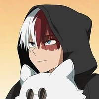Shoto Todoroki