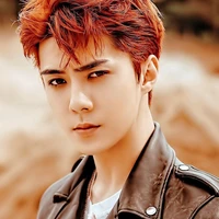 Prince Xavi Viginie (Abang)