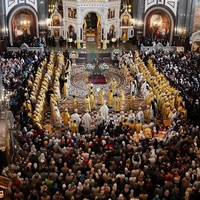 multitud
