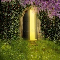 THE DOOR