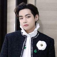 Kim taehyung (V)