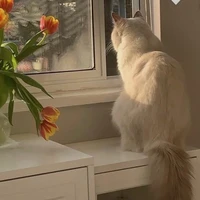 ???💘