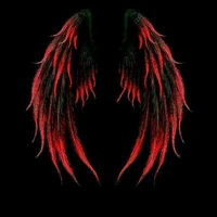 Geng Motor Black Angel