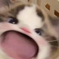 🍅แอดเอง🍅