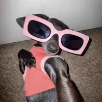 เเอดมาเอง!!!