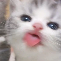 ผู้แต่ง