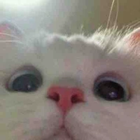นวล