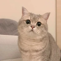 แอด