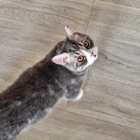 คิว