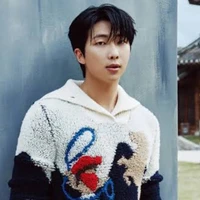 Kim Namjoon🐨