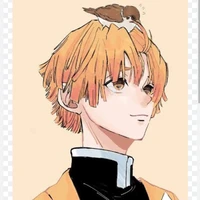 ZenitsuagatsumaO.d
