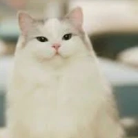 เป็นได้ทุกสิ่ง
