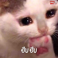 แอดเองงงง
