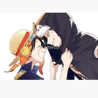 law luffy