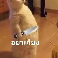 วิกรวย