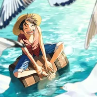 monkey.d.luffy