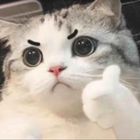 แอดดด