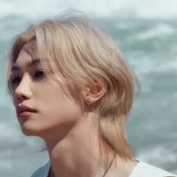 lee felix
