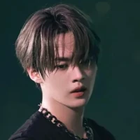 lee minho / lee know