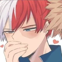 todoroki
