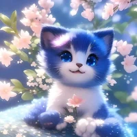 kit 
